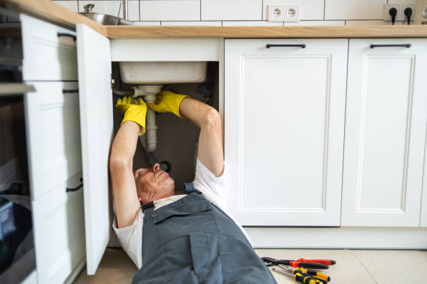 Best Emergency Plumber  in Hemlock, MI
